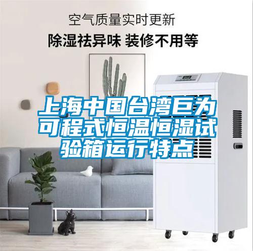 上海中國台灣巨為可程式恒溫恒濕試驗箱運行特點