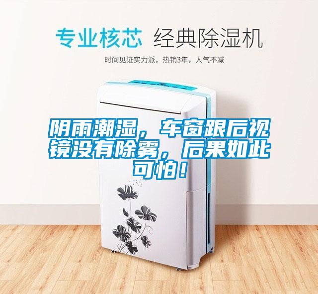 陰雨潮濕，車窗跟後視鏡沒有除霧，後果如此可怕！