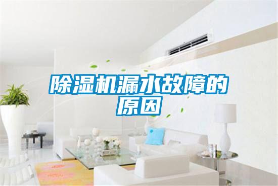 91看片在线下载機漏水故障的原因