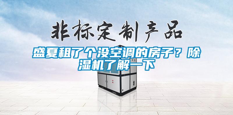 盛夏租了個沒空調的房子？91看片在线下载機了解一下