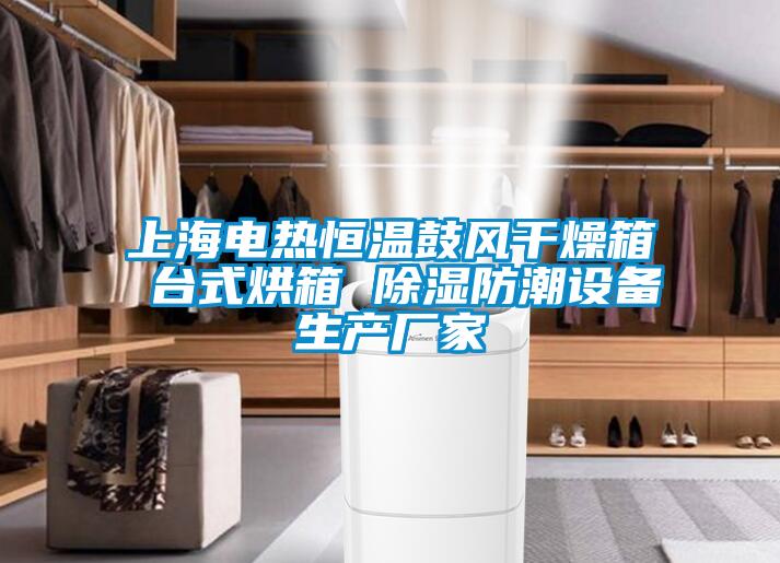 上海電熱恒溫鼓風幹燥箱 台式烘箱 91看片在线下载防潮設備生產廠家