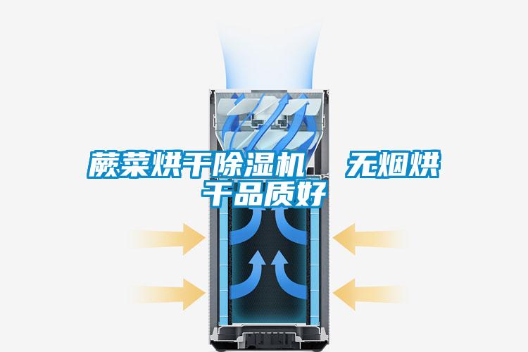 蕨菜烘幹91看片在线下载機  無煙烘幹品質好