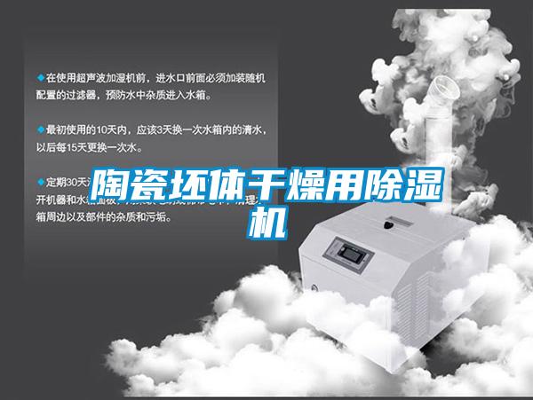 陶瓷坯體幹燥用91看片在线下载機