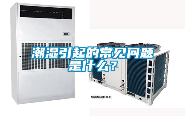 潮濕引起的常見問題是什麽？