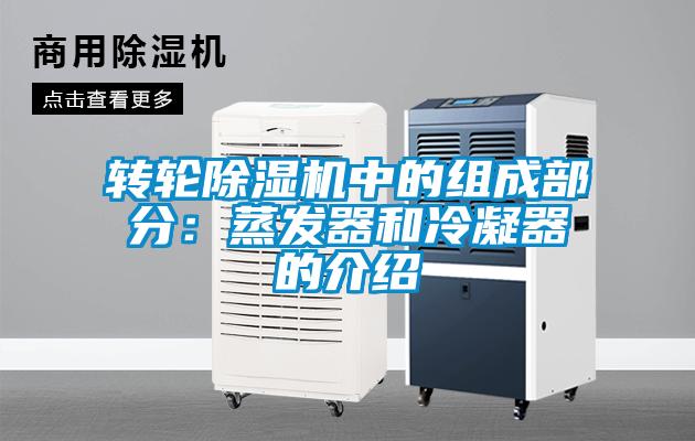 轉輪91看片在线下载機中的組成部分：蒸發器和冷凝器的介紹