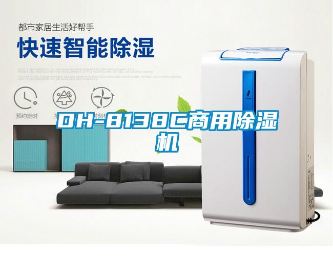 DH-8138C商用91看片在线下载機