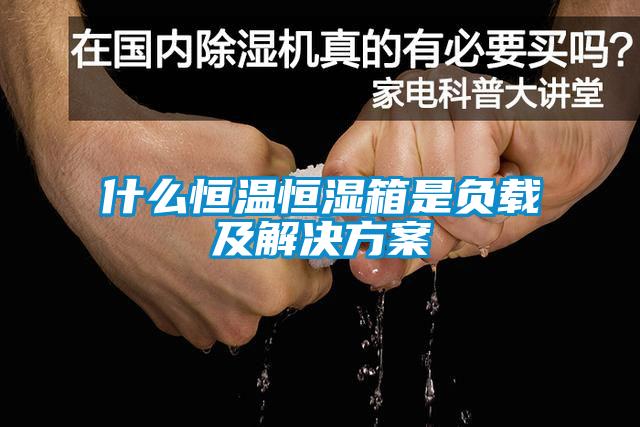 什麽恒溫恒濕箱是負載及解決免费看片下载