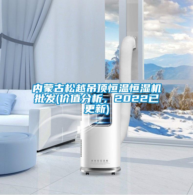 內蒙古鬆越吊頂恒溫恒濕機批發(價值分析，2022已更新)