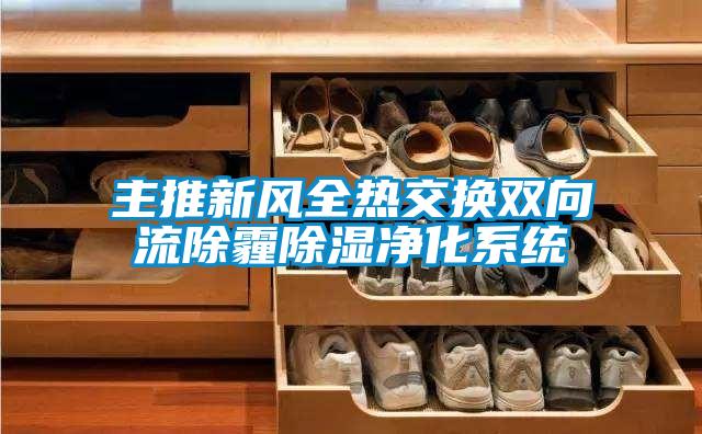 主推新風全熱交換雙向流除霾91看片在线下载淨化係統