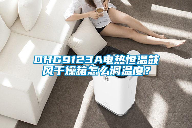 DHG9123A電熱恒溫鼓風幹燥箱怎麽調溫度？