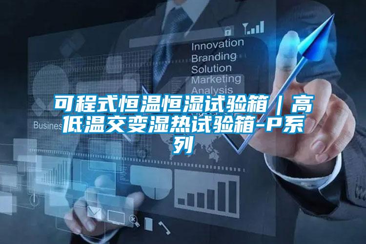 可程式恒溫恒濕試驗箱｜高低溫交變濕熱試驗箱-P係列
