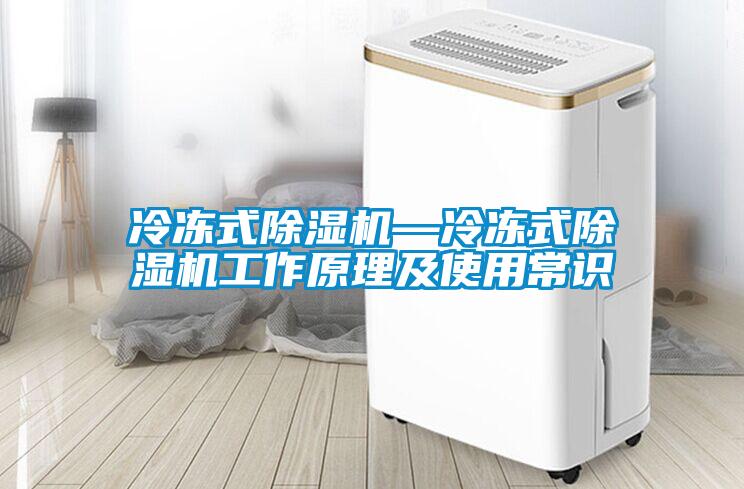 冷凍式91看片在线下载機—冷凍式91看片在线下载機工作原理及使用常識