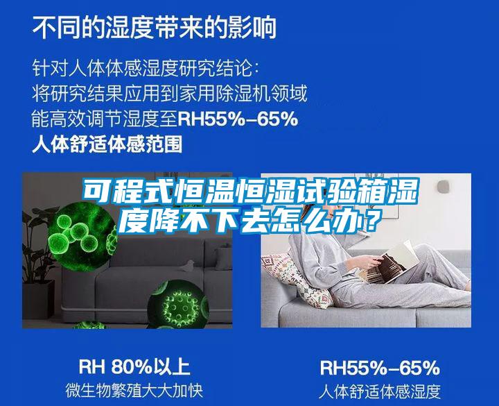 可程式恒溫恒濕試驗箱濕度降不下去怎麽辦？