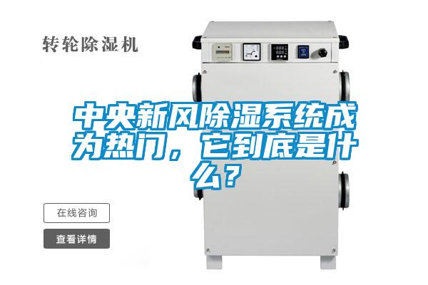 中央新風91看片在线下载係統成為熱門，它到底是什麽？