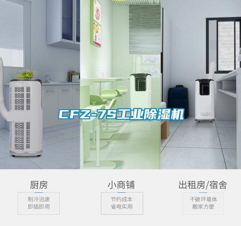 CFZ-7S工業91看片在线下载機