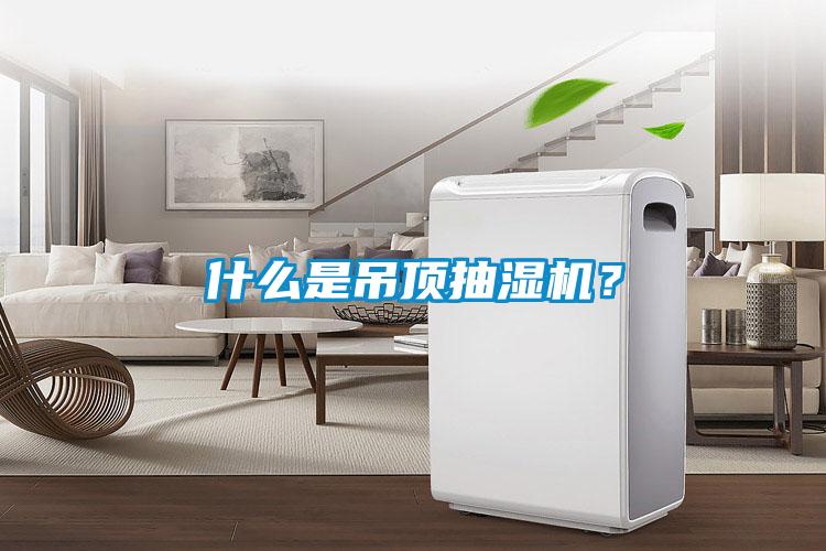 什麽是吊頂抽濕機？