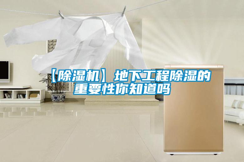 【91看片在线下载機】地下工程91看片在线下载的重要性你知道嗎