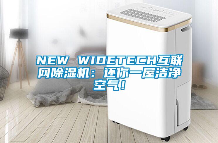 NEW WIDETECH互聯網91看片在线下载機：還你一屋潔淨空氣！
