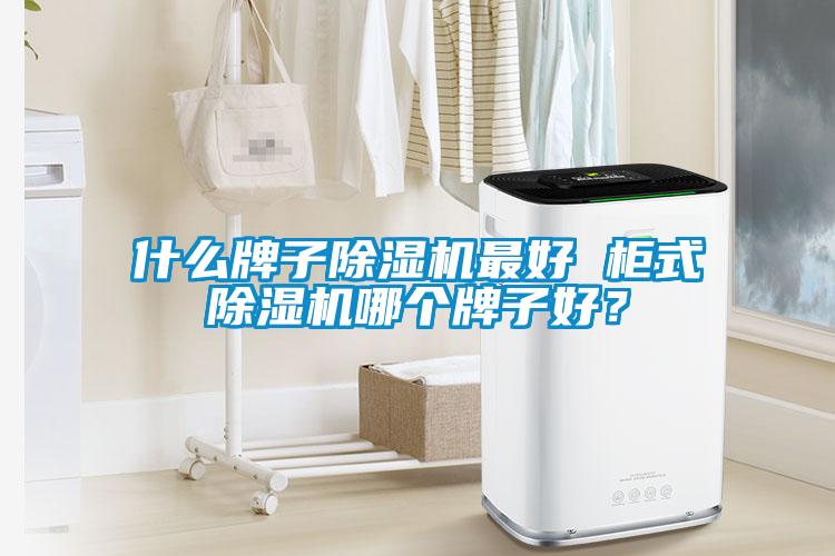 什麽牌子91看片在线下载機最好 櫃式91看片在线下载機哪個牌子好？
