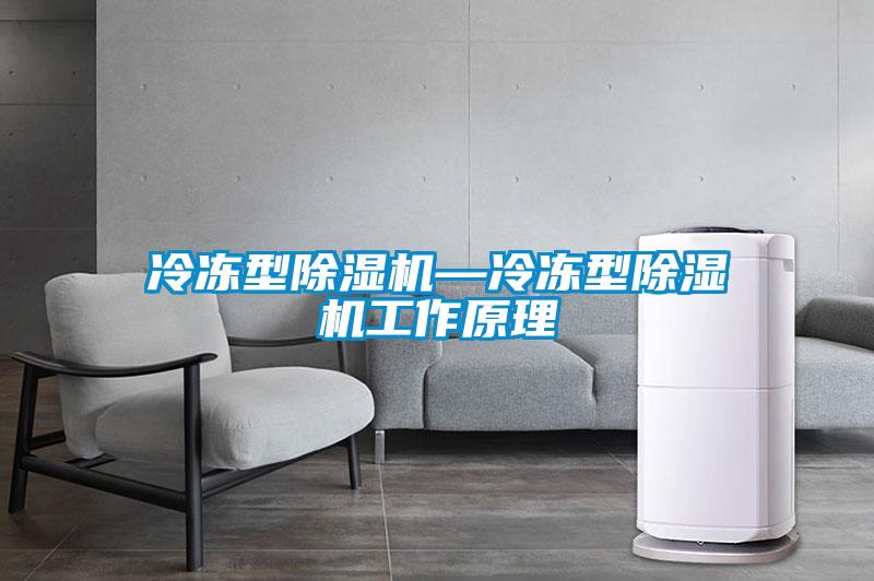 冷凍型91看片在线下载機—冷凍型91看片在线下载機工作原理