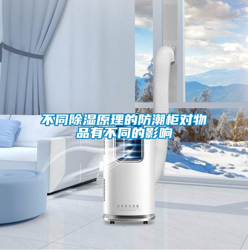 不同91看片在线下载原理的防潮櫃對物品有不同的影響
