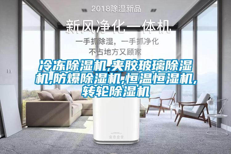 冷凍91看片在线下载機,夾膠玻璃91看片在线下载機,防爆91看片在线下载機,恒溫恒濕機,轉輪91看片在线下载機