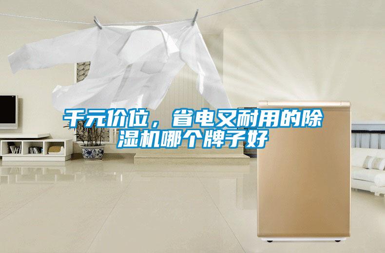 千元價位，省電又耐用的91看片在线下载機哪個牌子好