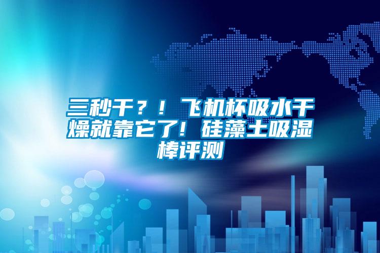 三秒幹？! 飛機杯吸水幹燥就靠它了! 矽藻土吸濕棒評測