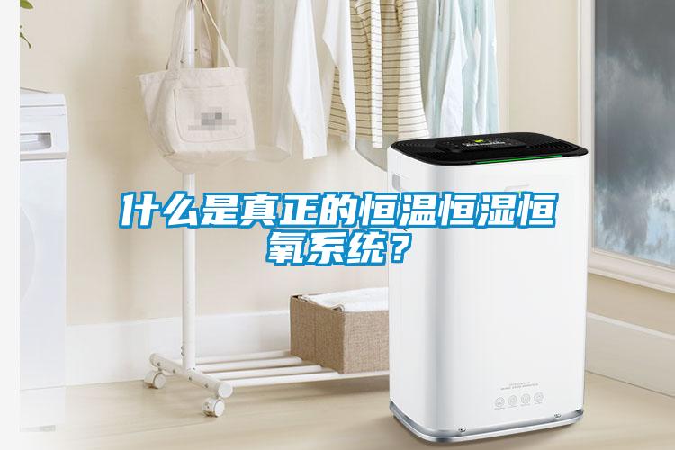 什麽是真正的恒溫恒濕恒氧係統？