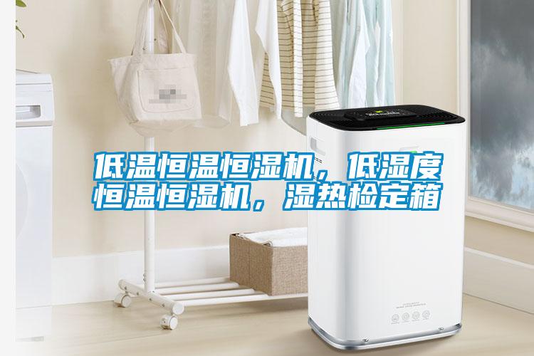 低溫恒溫恒濕機，低濕度恒溫恒濕機，濕熱檢定箱