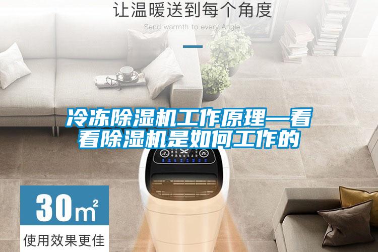 冷凍91看片在线下载機工作原理—看看91看片在线下载機是如何工作的