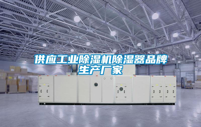 供應工業91看片在线下载機91看片在线下载器品牌生產廠家