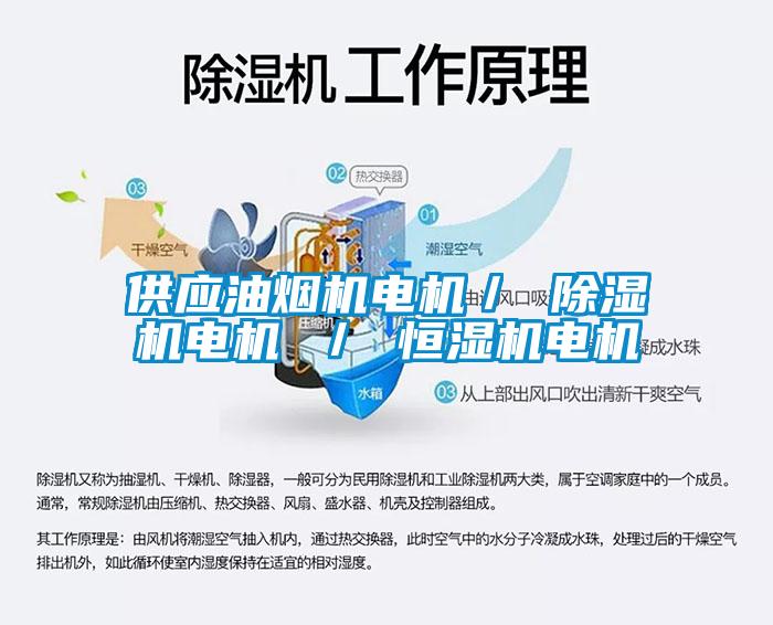 供應油煙機電機／ 91看片在线下载機電機 ／ 恒濕機電機