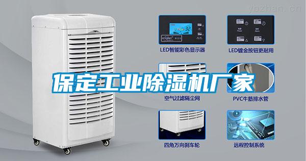 保定工業91看片在线下载機廠家
