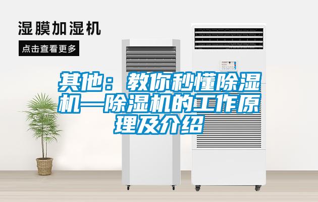 其他：教你秒懂91看片在线下载機—91看片在线下载機的工作原理及介紹