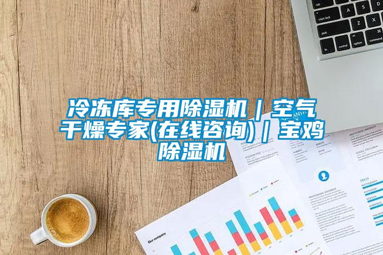 冷凍庫專用91看片在线下载機｜空氣幹燥專家(在線谘詢)｜寶雞91看片在线下载機