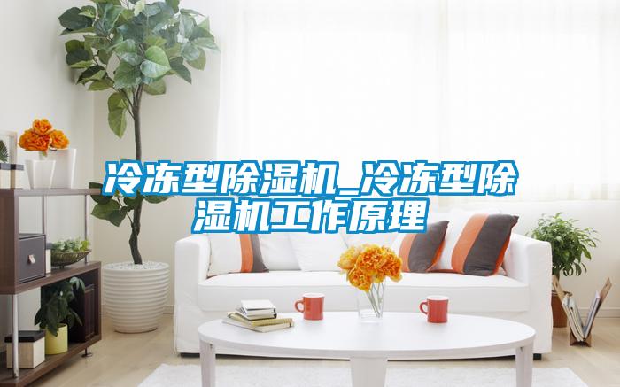 冷凍型91看片在线下载機_冷凍型91看片在线下载機工作原理