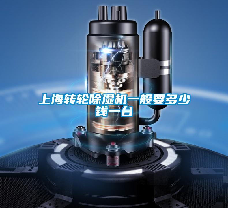 上海轉輪91看片在线下载機一般要多少錢一台