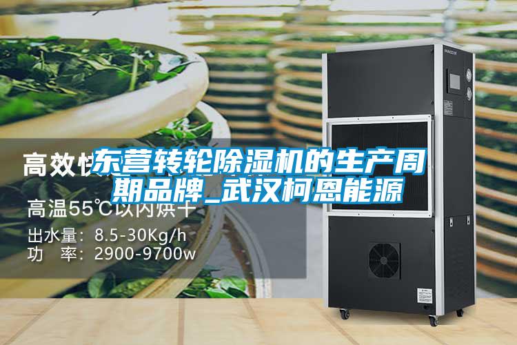 東營轉輪91看片在线下载機的生產周期品牌_武漢柯恩能源