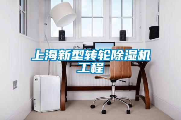 上海新型轉輪91看片在线下载機工程
