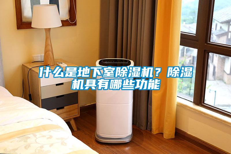什麽是地下室91看片在线下载機？91看片在线下载機具有哪些功能
