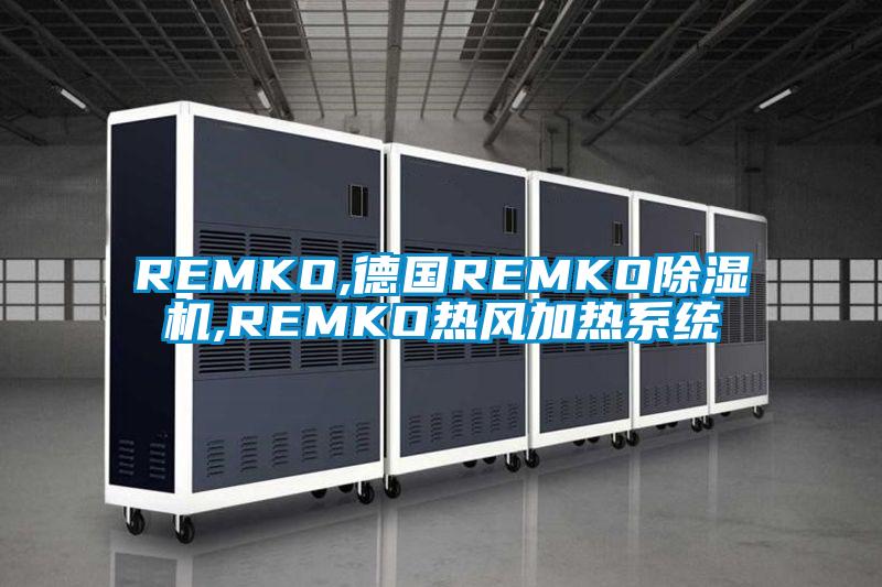 REMKO,德國REMKO91看片在线下载機,REMKO熱風加熱係統