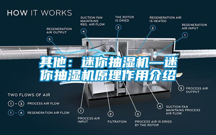 其他：迷你抽濕機—迷你抽濕機原理作用介紹