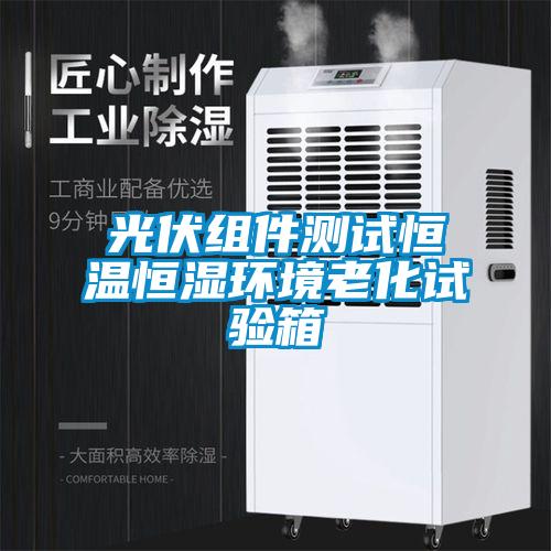 光伏組件測試恒溫恒濕環境老化試驗箱