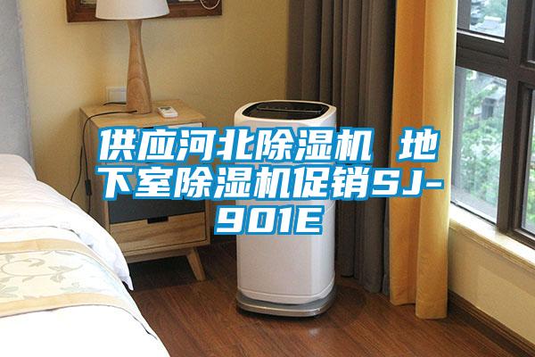 供應河北91看片在线下载機 地下室91看片在线下载機促銷SJ-901E