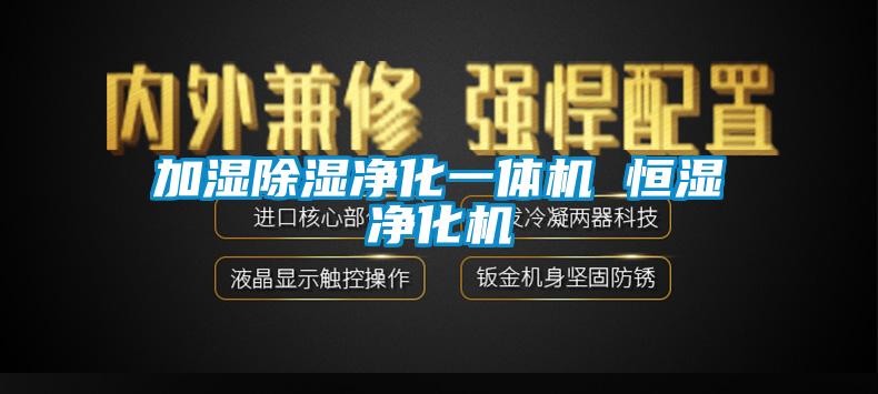 加濕91看片在线下载淨化一體機 恒濕淨化機