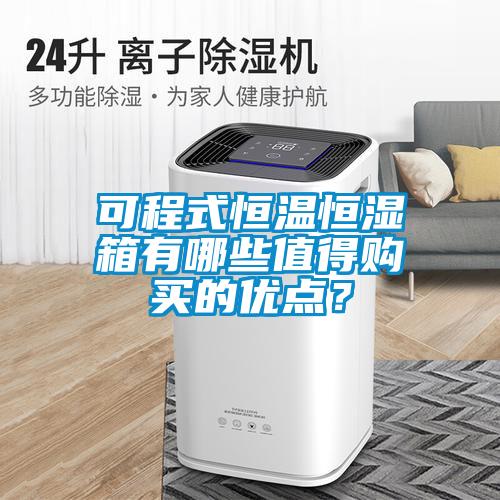 可程式恒溫恒濕箱有哪些值得購買的優點？