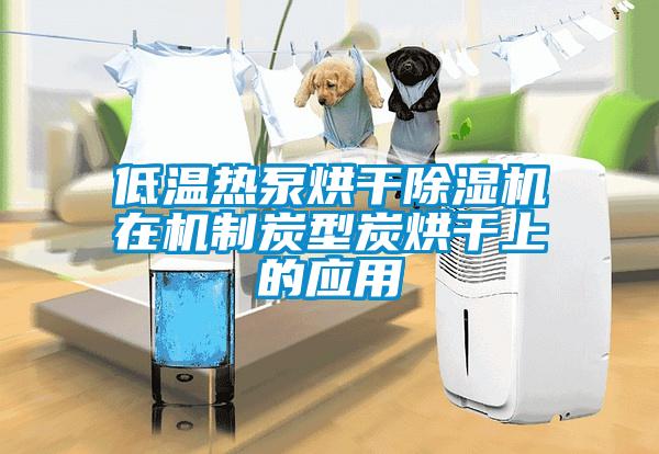 低溫熱泵烘幹91看片在线下载機在機製炭型炭烘幹上的應用