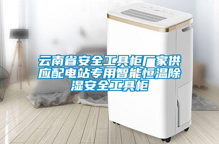 雲南省安全工具櫃廠家供應配電站專用智能恒溫91看片在线下载安全工具櫃