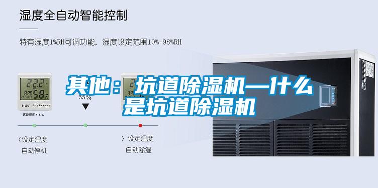 其他：坑道91看片在线下载機—什麽是坑道91看片在线下载機